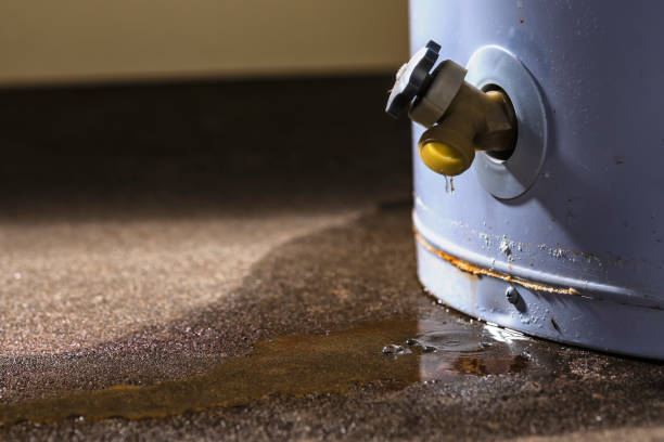 Best Commercial water damage restoration  in Barton, NM