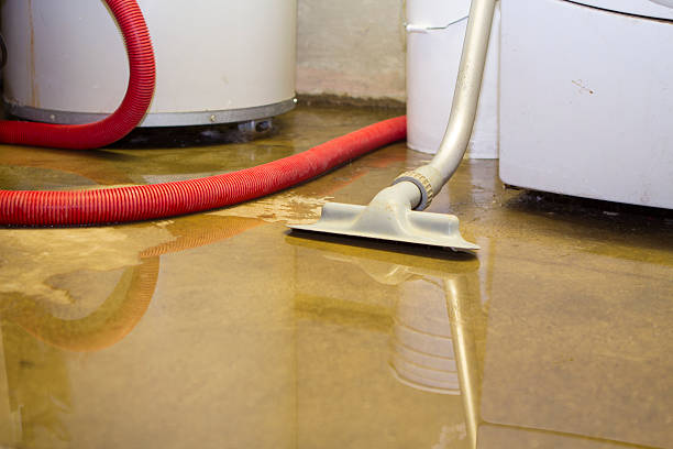 Best Flood damage cleanup  in Barton, NM
