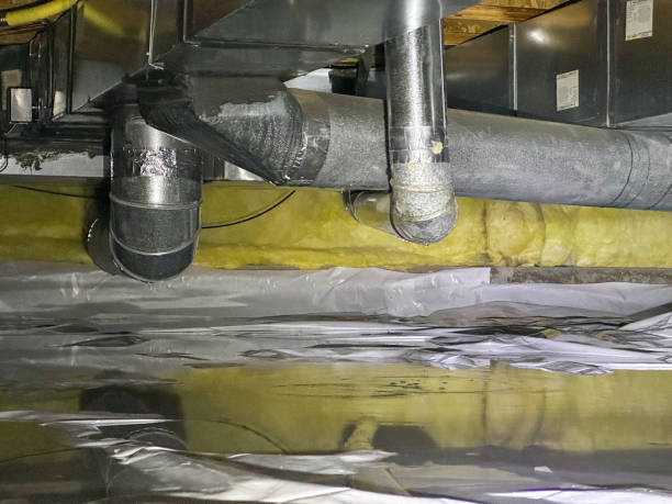 Best Basement water damage restoration  in Barton, NM